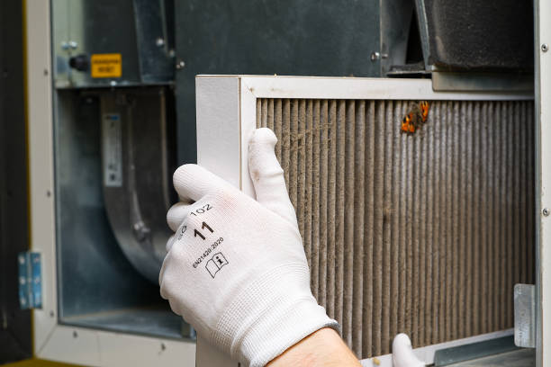 Best Ductwork Cleaning Services  in Creedmoor, NC
